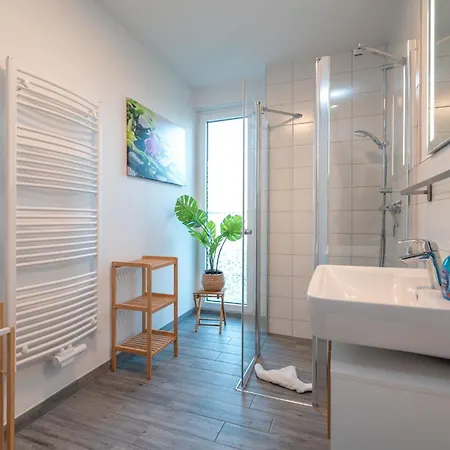 Silbermoewe * Zirchow